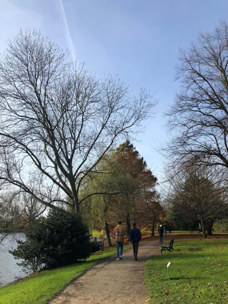People taking a walk at a park